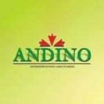 andino