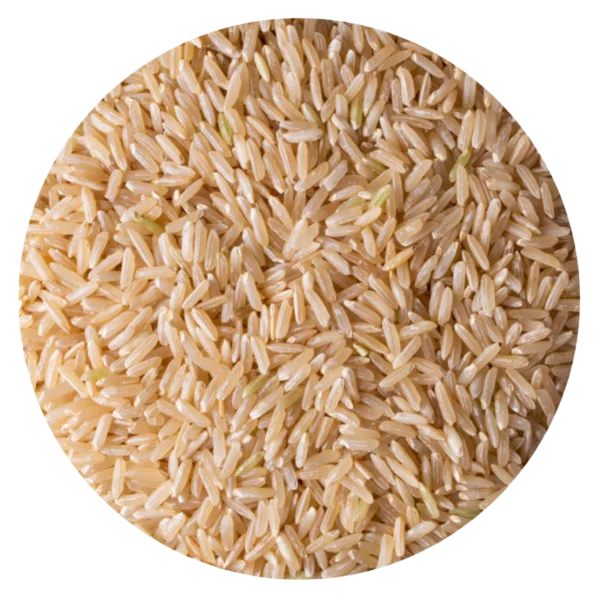 ARROZ LARGO FINO INTEGRAL