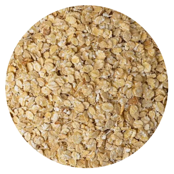 COPO AVENA HORNEADA