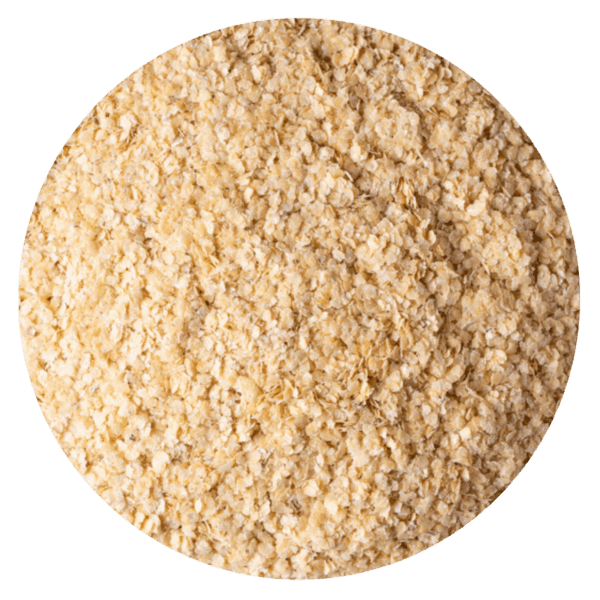 GERMEN TRIGO - Imagen 2