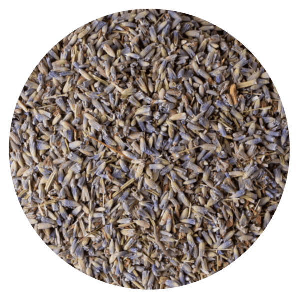 HIERBA LAVANDA