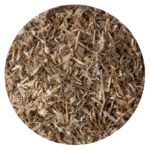 HIERBA YERBA DEL POLLO