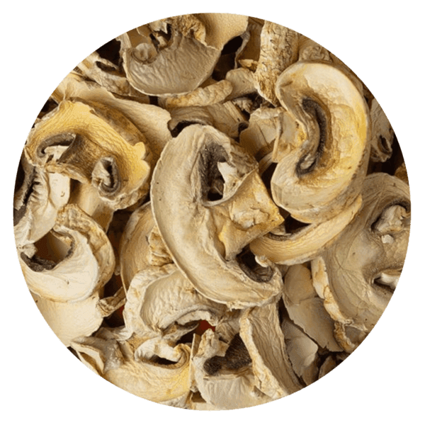HONGO CHAMPIGNON