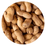 MANI CON CASCARA COMUN