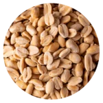 MANI TOSTADO SIN SAL AA