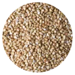 TRIGO SARRACENO PELADO GRANO