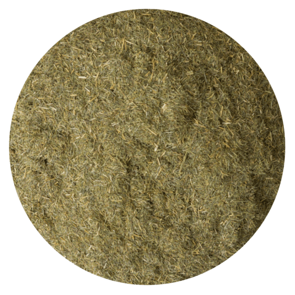 HIERBA LEMONGRASS