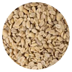 MANI TOSTADO CON SAL BB