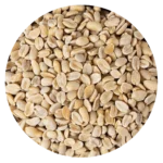 MANI TOSTADO SIN SAL BB