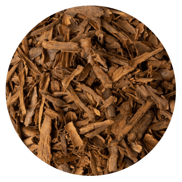 CANELA CHIP