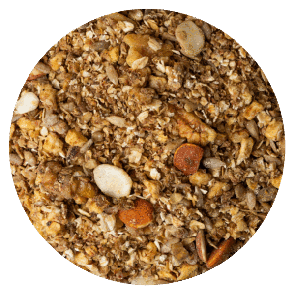 GRANOLA MANZANA JENGIBRE
